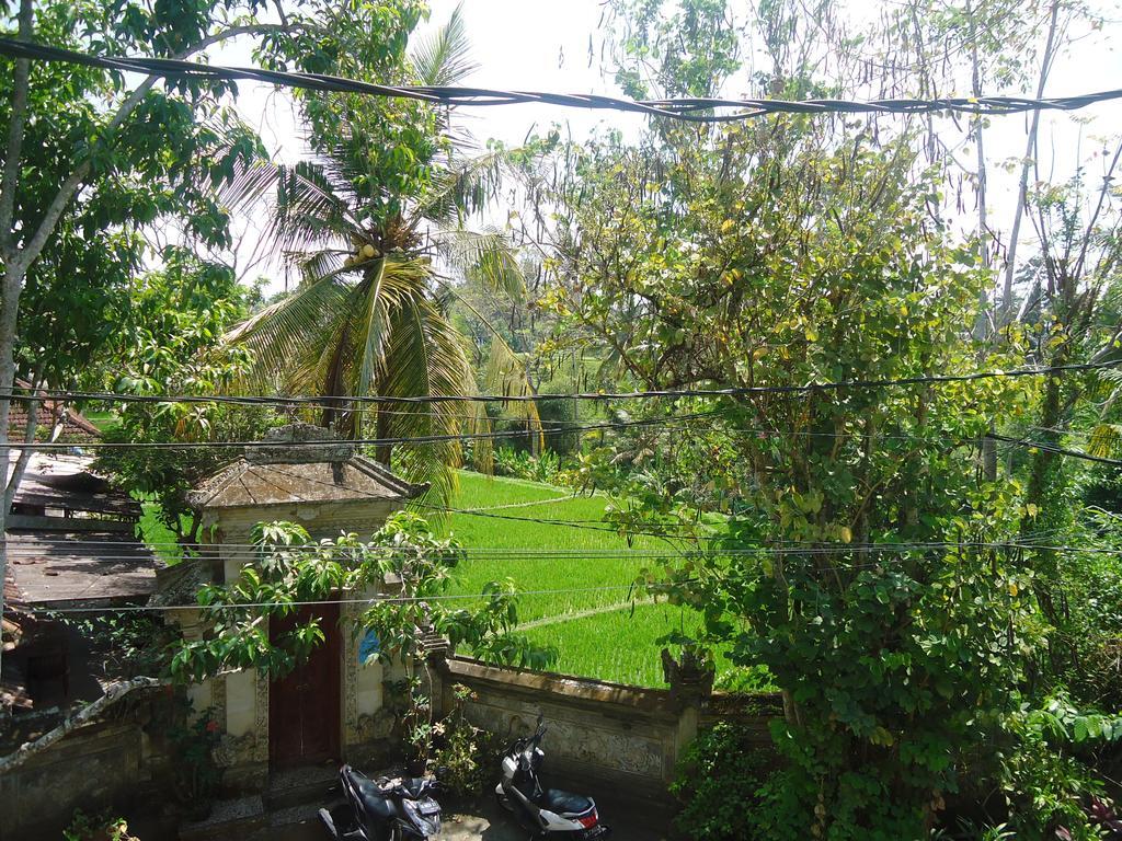 Pondok Taman Asri Homestay Ubud  Bagian luar foto